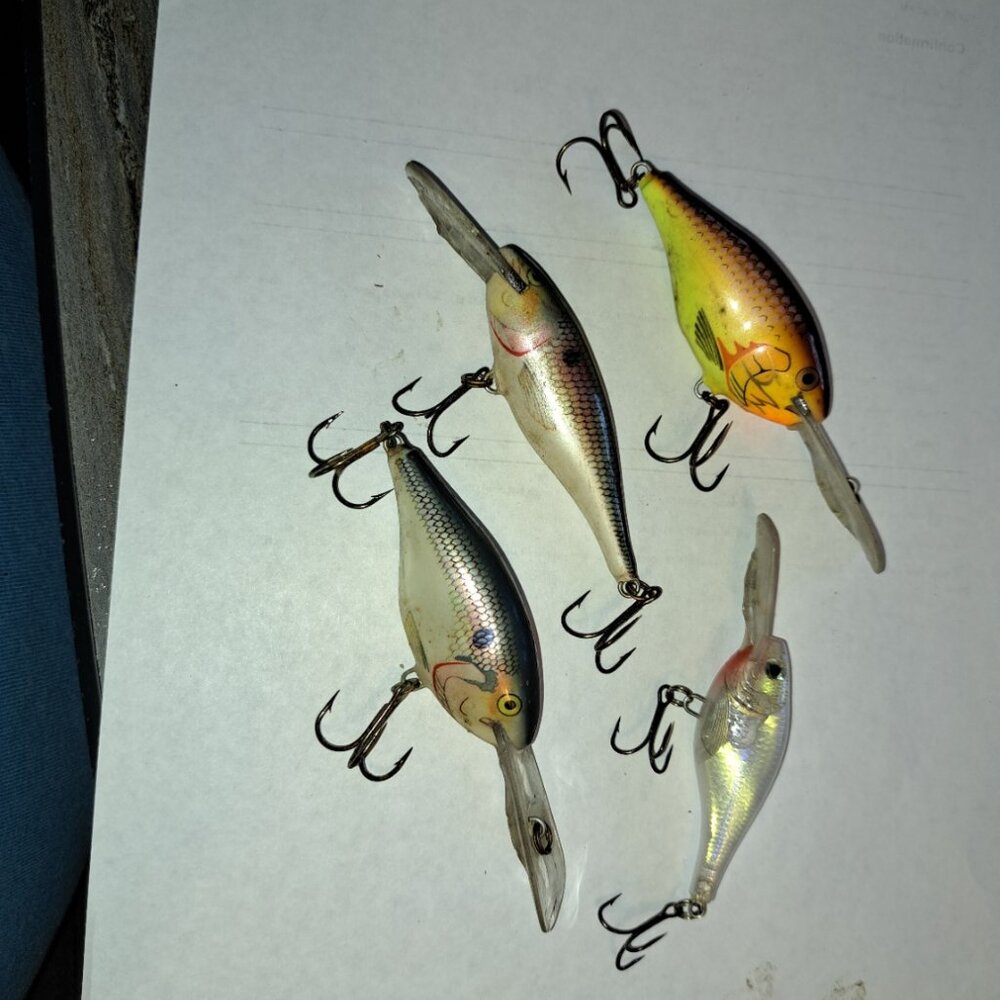 Rapala Shad Rap Crankbaits - Picture 4 of 4